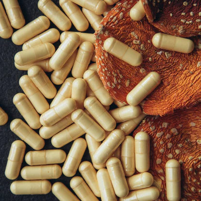 Amanita Muscaria Microdose Capsules