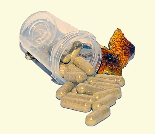Golden Teacher Microdose Capsules 30x 250mg